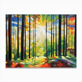 Sunlight Filtering Through The Forest Canvas Print