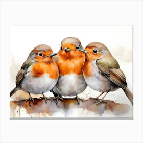 Three Robins Canvas Print