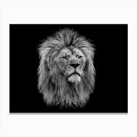 Lion Head 1 Canvas Print