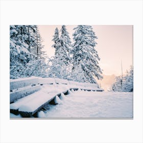 Benches In Snow Canvas Print