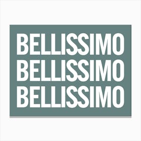 Bellissimo - Teal Canvas Print