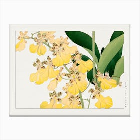 Vintage Orchid Flower, Tanigami Kônan Canvas Print