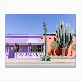 Colorful Houses With Cactus Canvas Print