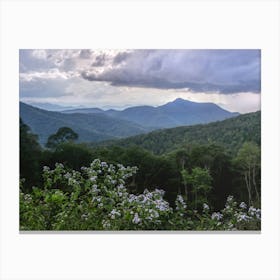 Blue Ridge Mountains - Shenandoah National Park Canvas Print