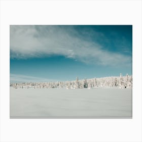 Winter Wonderland In Norway Canvas Print
