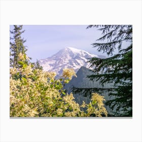 Divinity - Mount Rainier National Park - Wildflower Nature Landscape Canvas Print