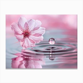 Cherry Blossoms In Water 1 Canvas Print