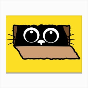 Cat Peeking Out Of A Box Canvas Print