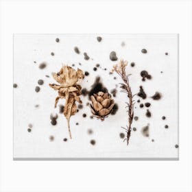 Dried Florals Canvas Print