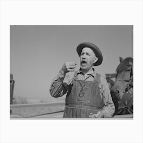 Cut Over Farmer Taking A Pinch Of Snuff Near Littlefork, Minnesota By Russell Lee Canvas Print