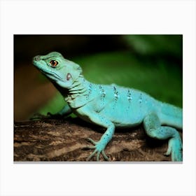 Green Lizard on a Tree Canvas Print