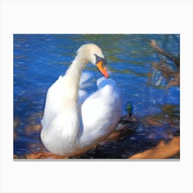 Swan In Water 2 Canvas Print