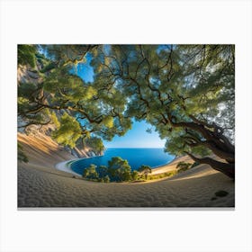 Tree On The Beach Canvas Print