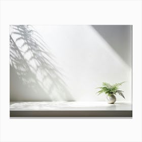 Nature Pattern White Sunshine Overlay Elegant Fern Abstract Blank Light Natural Room Pla (16) Canvas Print