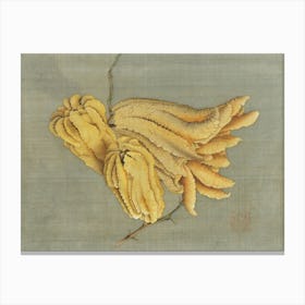 Chinese Bananas Canvas Print