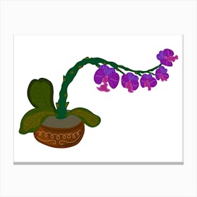 Orchid In A Pot Canvas Print