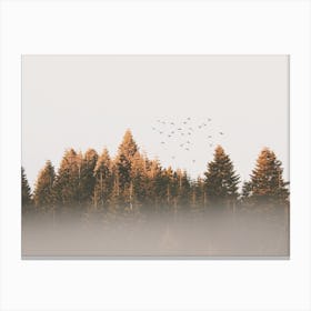 Foggy Fall Trees Canvas Print