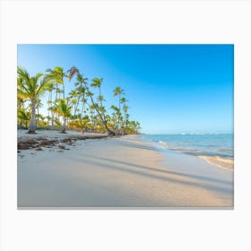 Beach In Punta Cana Canvas Print