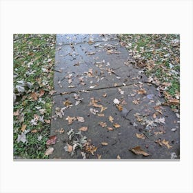 Sidewalk With Leaves Canvas Print