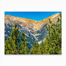 Pine Trees In The Mountains 202304171252277pub Canvas Print