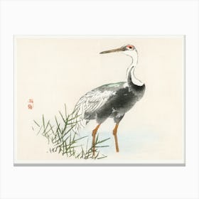 Crane, Kōno Bairei Canvas Print