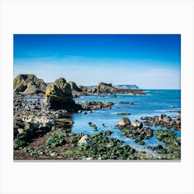 Rocks On The Coast Canvas Print