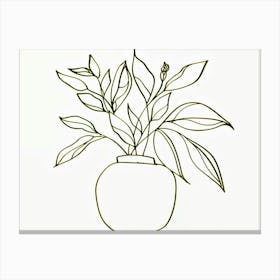 Plant In A Vase Canvas Print