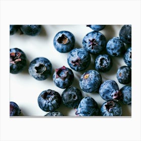 Blueberries, Macro Canvas Print