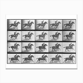 Galloping Horse Plate 628 Canvas Print