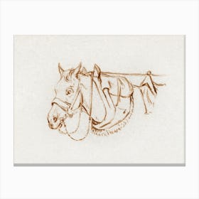Head Of A Rigged Horse, Jean Bernard Canvas Print