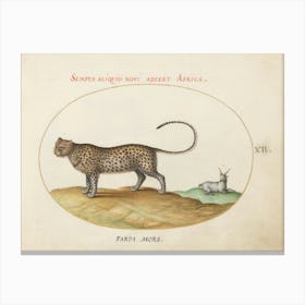 Animalia Qvadrvpedia Et Reptilia, Joris Hoefnagel 1 Canvas Print