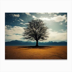 Lone Tree Canvas Print