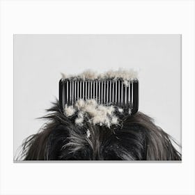 Dog With A Comb Canvas Print