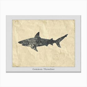 Common Thresher Shark Silhouette 4 Poster Canvas Print