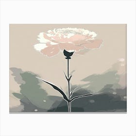 Carnation 11 Canvas Print