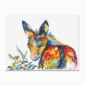A Colourful Donkey Named Ass Canvas Print