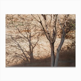 Shadow Of A Tree In The Desert Of Saudi Arabia Canvas Print