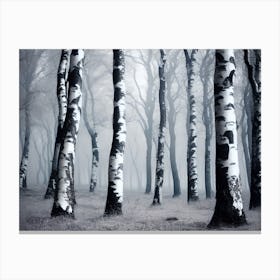 Birch Forest 102 Canvas Print