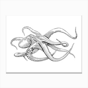 Octopus Illustration - Ocean Wildlife Art Print Canvas Print