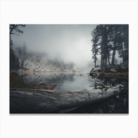 Landscapes Raw 13 Sequoia (USA) Canvas Print
