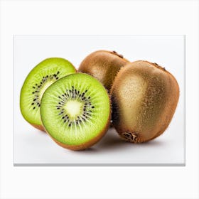 Kiwi Fruit 18 Canvas Print