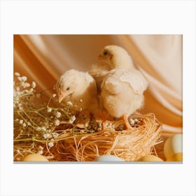 Easter Chicks Canvas Print