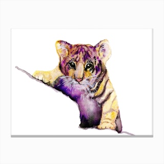 Little Tiger Canvas Print
