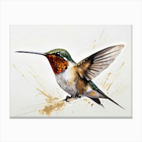 Kolibri Hummingbird - Water Color Painting 13 Canvas Print