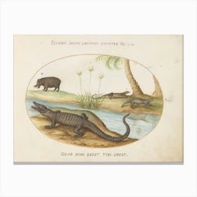 Animalia Qvadrvpedia Et Reptilia, Joris Hoefnagel (5) Canvas Print