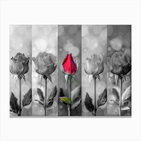 Roses In Black And White Canvas Print