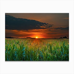 Sunset In The Corn Field Canvas Print
