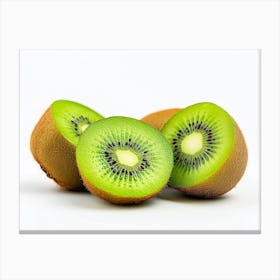 Kiwi Fruit 14 Canvas Print