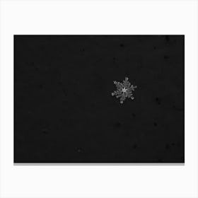 Snowflake Canvas Print