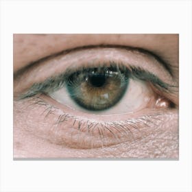 Lover eye Canvas Print